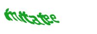 Looking for adventure