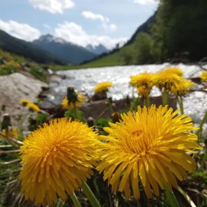 Ischgl, www.aktivostrig.dk