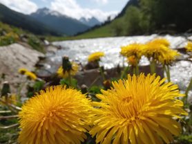 Ischgl, www.aktivostrig.dk