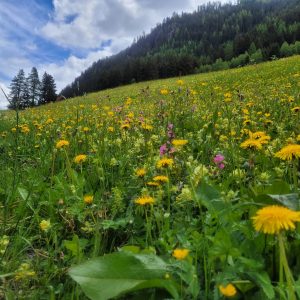 Ischgl, www.aktivostrig.dk