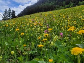 Ischgl, www.aktivostrig.dk